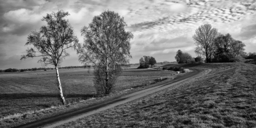 2022 Landschaft mit Deich