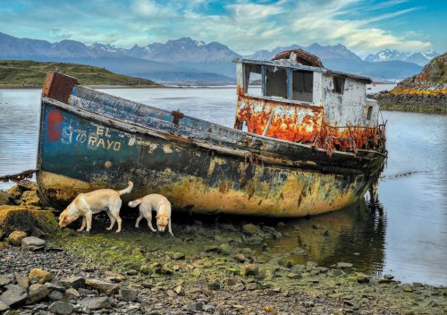 2011 Shiffswrack in der Nähe von Port Williams