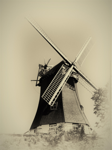 Nordermühle, Meldorf, Dithmarschen, Schleswig-Holstein