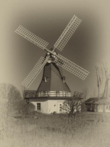 Mühle Juliane, Nordermeldorf, Dithmarschen, Schleswig-Holstein