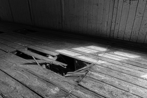 Copyright Hans-Roland Becker