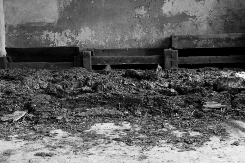 Copyright Hans-Roland Becker