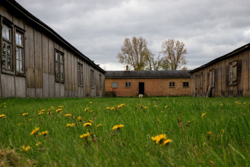 Copyright Bernhard Schmid