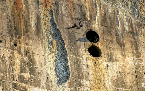 2025 Freiheit nie ohne Schatten
