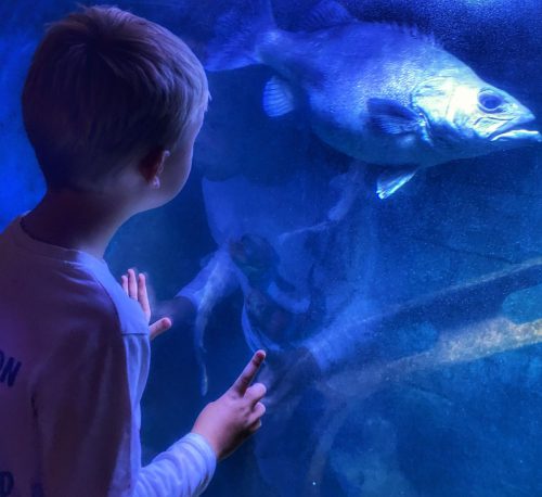 2026 Kommunikation Zwischen zwei Welten