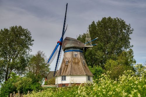 Mühle Immanuel, Neufeld, Dithmarschen, Schleswig-Holstein