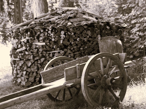 Feuerholz mit Wagen 