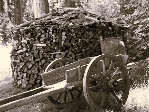 Feuerholz mit Wagen 