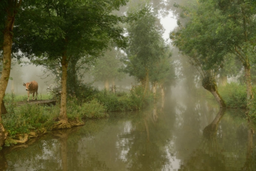 Marais Poitevin La Garette