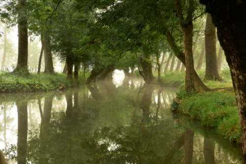 Marais Poitevin La Garette