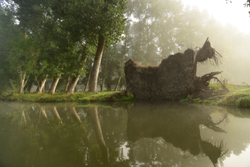 Marais Poitevin La Garette