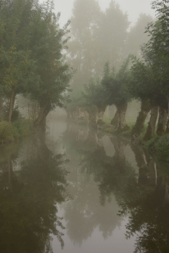 Marais Poitevin La Garette