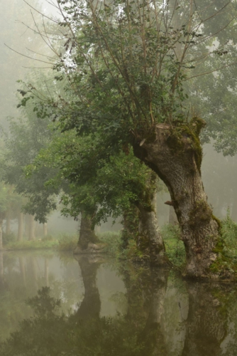 Marais Poitevin La Garette