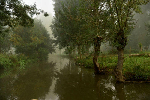 Marais Poitevin La Garette