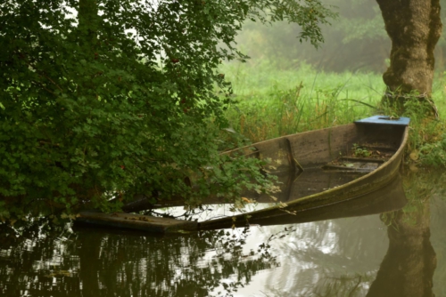 Marais Poitevin La Garette