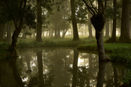 Marais Poitevin La Garette