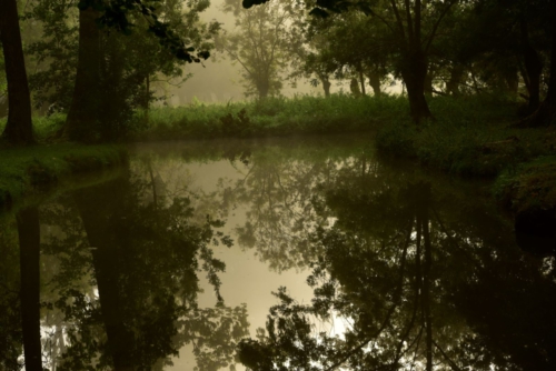Marais Poitevin La Garette