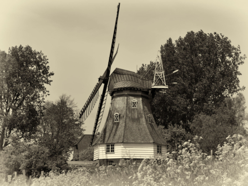 Mühle Immanuel, Neufeld, Dithmarschen, Schleswig-Holstein
