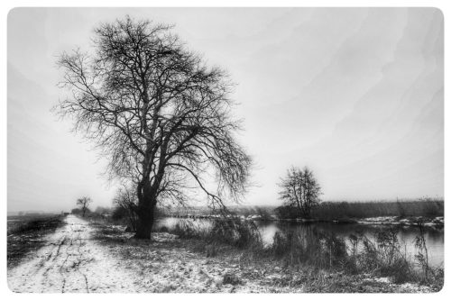 Teufelsmoor 2026 Winter