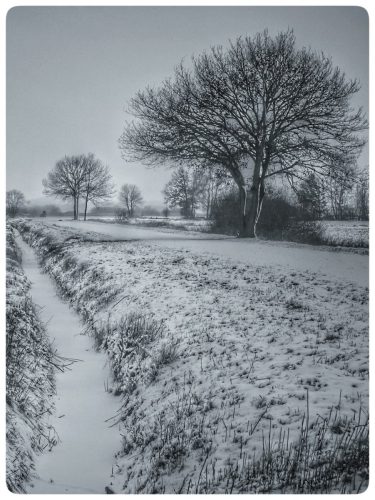 SW_Teufelsmoor_2026_Hans_Roland_Becker_03