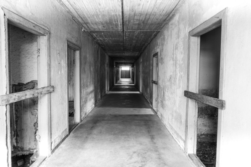 Copyright Bernhard Schmid