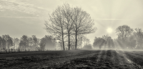 Teufelsmoor Morgennebel